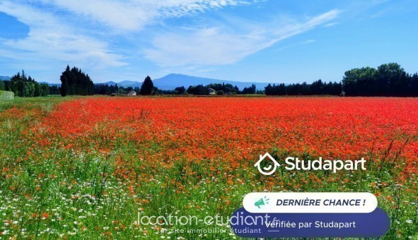 Logement étudiant T2 &agrave; Bédarrides (84370)