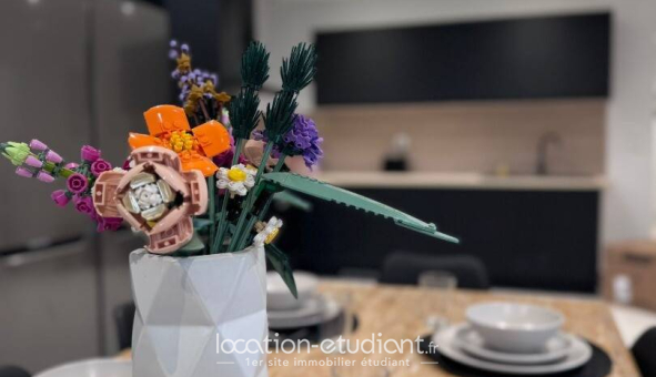 Colocation étudiante Studio &agrave; Anzin (59410)