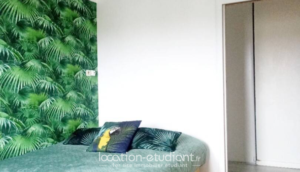Colocation étudiante Chambre dans une colocation de 10m2