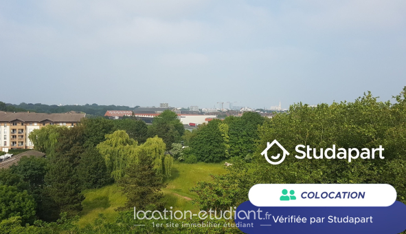 Colocation étudiante Studio &agrave; Lille (59800)