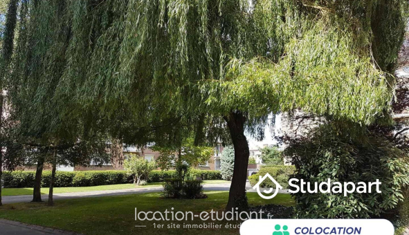 Colocation étudiante Studio &agrave; Lille (59800)