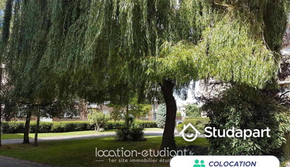 Colocation étudiante Studio &agrave; Lille (59800)
