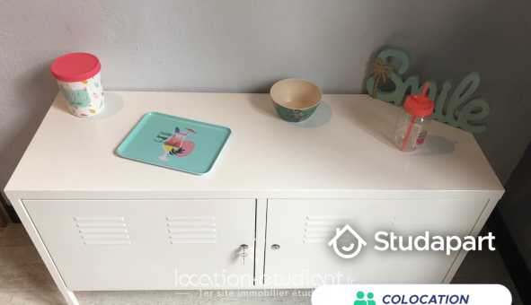Colocation étudiante Colocation &agrave; Nantes (44200)