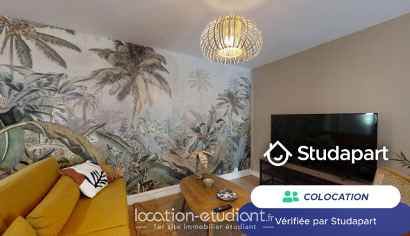 Colocation étudiante T4 &agrave; Toulouse (31500)